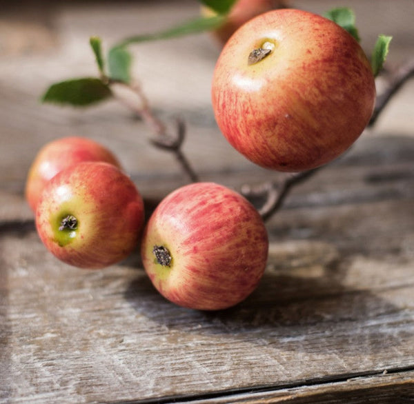 Apple Branch, Fruit Branch, Table Centerpiece, Beautiful Modern Flower Arrangement Ideas for Home Decoration, Autumn Artificial Floral for Dining Room-Silvia Home Craft