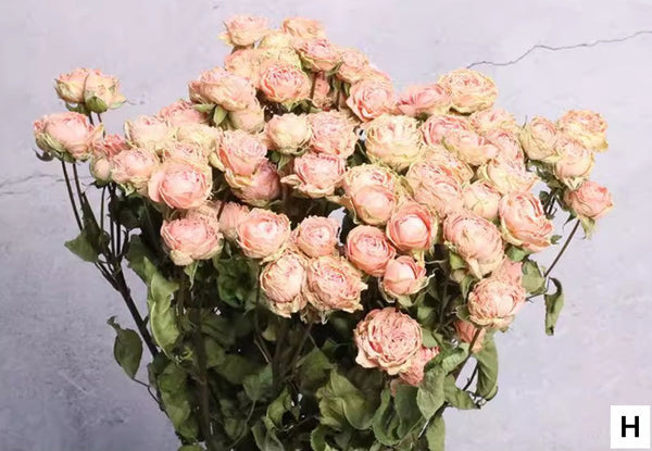Red Yellow Purple Dried Rose Floral, Dried Rose Flower Bouquet, A Bouquet of Dried Rose Flowers, Natural Dried Rose Flower Bunches, A Bunch Dried Rose Flowers-Silvia Home Craft