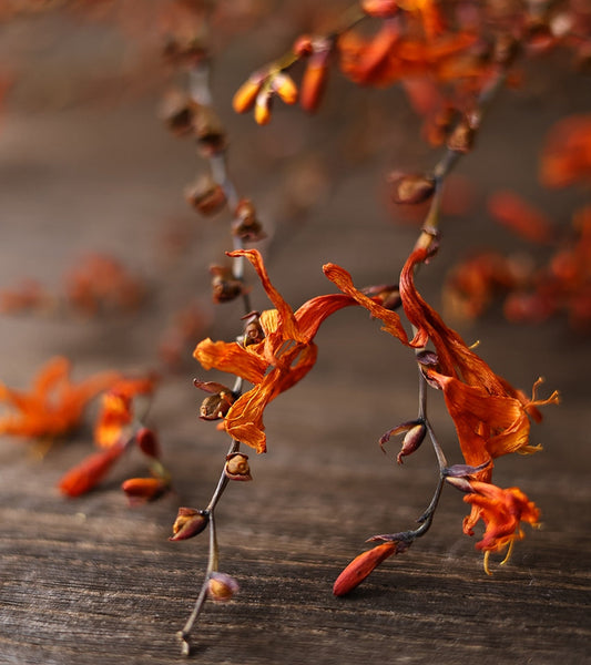 Dried Fire Orchid Bouquet, Natural Decorations, Flower Arrangement, Handmade Artificial Flower, Natural Dried Flowers-Silvia Home Craft
