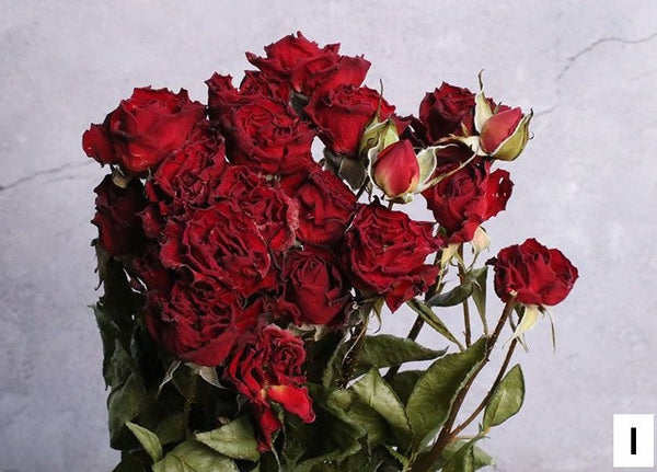 Red Yellow Purple Dried Rose Floral, Dried Rose Flower Bouquet, A Bouquet of Dried Rose Flowers, Natural Dried Rose Flower Bunches, A Bunch Dried Rose Flowers-Silvia Home Craft