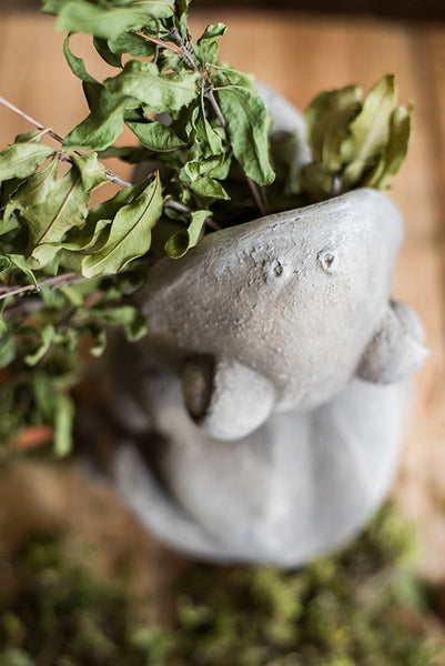 Frog Flowerpot for Garden Decoration, Beautiful Cute Frog Statues, Garden Animal Statues, Unique Modern Garden Sculptures, Creative Villa Outdoor Gardening Ideas-Silvia Home Craft