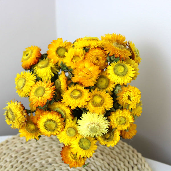 Natural Decorations, A Bunch of Dried Daisy Flowers, Flower Arrangements, Natural Dried Yellow Daisy Flowers, Handmade Artificial Flowers for Home Decor-Silvia Home Craft