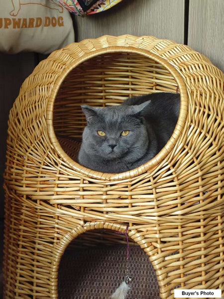 Large Double-Layer Cat Bed, Wicker Cat House Basket with Washable Cushion for Indoor Cats and Dogs-Silvia Home Craft