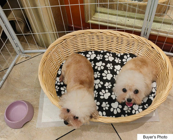 Natural Wicker Dog Bed with Washable Cushion for Indoor Cats and Dogs, Hand woven Rattan Cat Beds-Silvia Home Craft