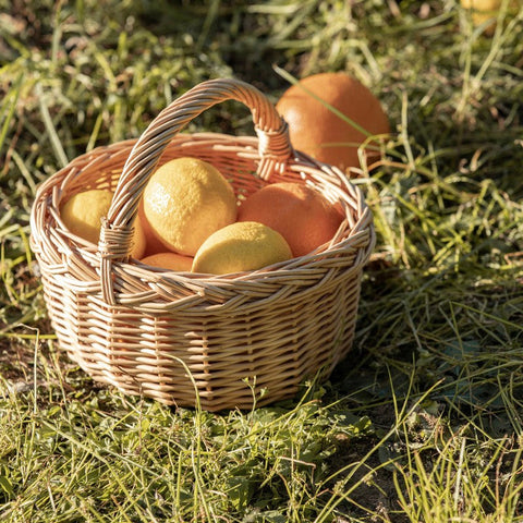Small Kitchen Storage Baskets, Picnic Storage Basket with Handle, Hand-woven Wicker Storage Basket, Natural Fruit Basket, Willow Weaving Baskets for Vegetable-Silvia Home Craft