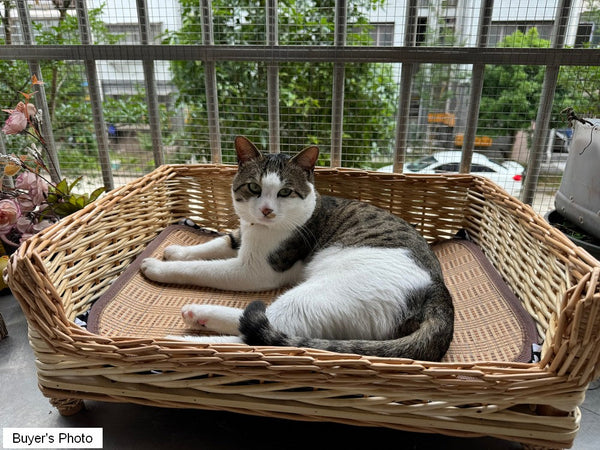 Hand Woven Rattan Cat Beds, Extra Large Natural Wicker Dog Bed with Washable Cushion for Indoor Cats and Dogs-Silvia Home Craft