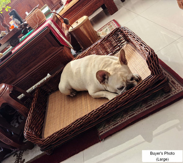 Large Natural Wicker Dog Bed with Washable Cushion for Indoor Cats and Dogs, Hand Woven Rattan Cat Beds-Silvia Home Craft