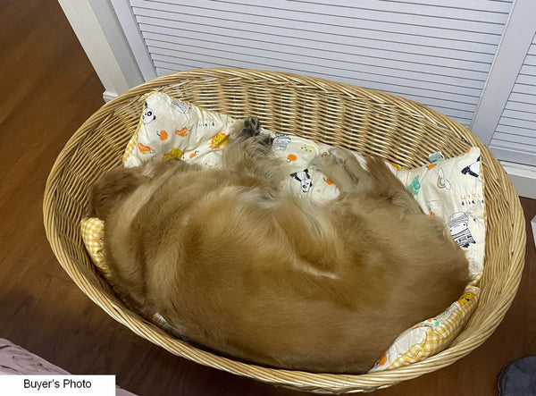 Hand woven Rattan Cat Beds, Extra Large Natural Wicker Dog Bed with Washable Cushion for Indoor Cats and Dogs-Silvia Home Craft