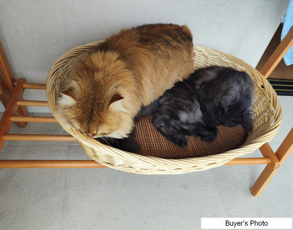 Hand woven Rattan Cat Beds, Extra Large Natural Wicker Dog Bed with Washable Cushion for Indoor Cats and Dogs-Silvia Home Craft