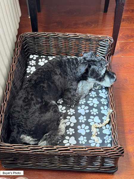 Large Natural Wicker Dog Bed with Washable Cushion for Indoor Cats and Dogs, Hand Woven Rattan Cat Beds-Silvia Home Craft