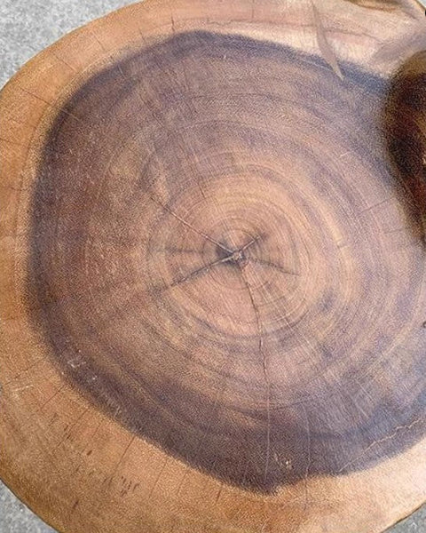 Elephant Sofa Stool, Dining Table Stool, Handmade Solid Wood low Stool, Elephant Wooden Stool, Creative Shoe-changing Stool-Silvia Home Craft