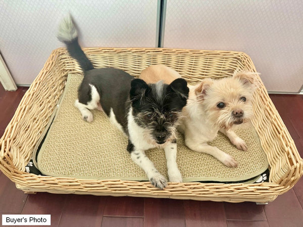 Hand Woven Rattan Cat Beds, Extra Large Natural Wicker Dog Bed with Washable Cushion for Indoor Cats and Dogs-Silvia Home Craft
