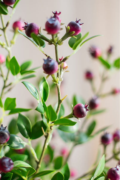 Simple Artificial Flowers for Living Room, Blueberry Fruit Branch, Flower Arrangement Ideas for Home Decoration, Spring Artificial Floral for Bedroom-Silvia Home Craft