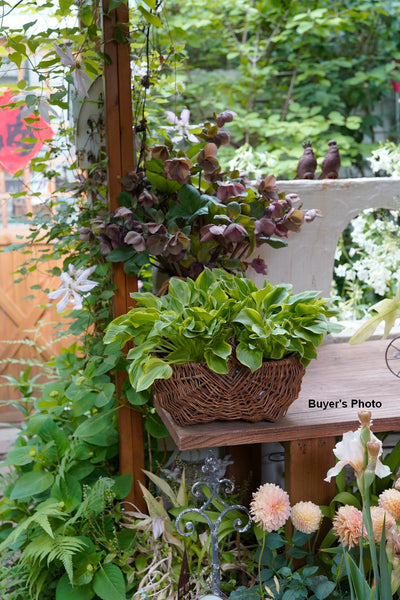 Large Picnic Food Basket with Handle, Natural Hand-woven Wicker Storage Basket, Natural Fruit Baskets, Kitchen Storage Baskets, Willow Weaving Baskets with Handle-Silvia Home Craft