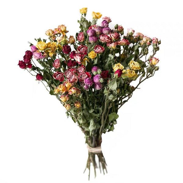 Red Yellow Purple Dried Rose Floral, Dried Rose Flower Bouquet, A Bouquet of Dried Rose Flowers, Natural Dried Rose Flower Bunches, A Bunch Dried Rose Flowers-Silvia Home Craft