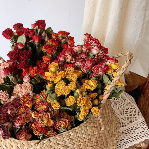Dried Rose Flower Bouquet, A Bouquet of Dried Rose Flowers, Natural Dried Rose Flower Bunches, A Bunch Dried Rose Flowers, Red Yellow Purple Dried Rose Floral-Silvia Home Craft