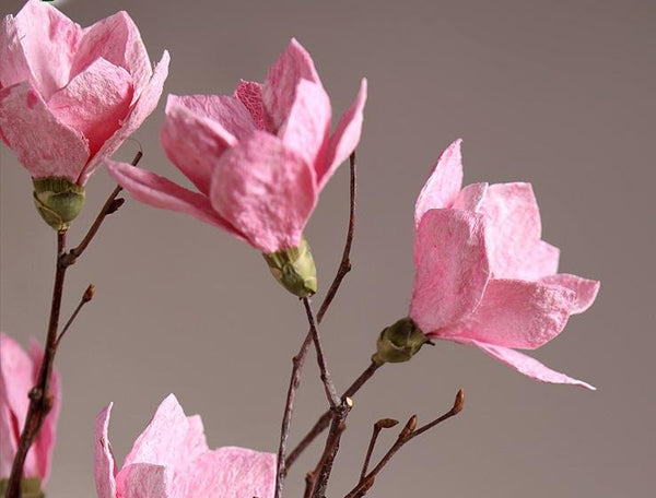 Magnolia flower, Handmade Artificial Flower, Natural Decorations, Flower Arrangement-Silvia Home Craft