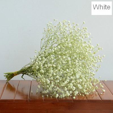 Dried Babys Breath Bunch, Gypsophila, GYP, Wedding Mason Jar Filler, Dried Flowers-Silvia Home Craft