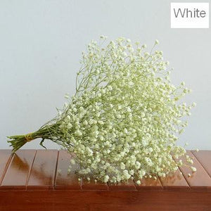 Dried Babys Breath Bunch, Gypsophila, GYP, Wedding Mason Jar Filler, Dried Flowers-Silvia Home Craft