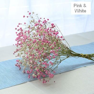 Dried Babys Breath Bunch, Gypsophila, GYP, Wedding Mason Jar Filler, Dried Flowers-Silvia Home Craft