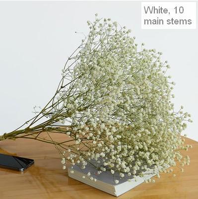 Dried Babys Breath Bunch, Dried Flowers, Gypsophila, GYP, Wedding Mason Jar Filler-Silvia Home Craft