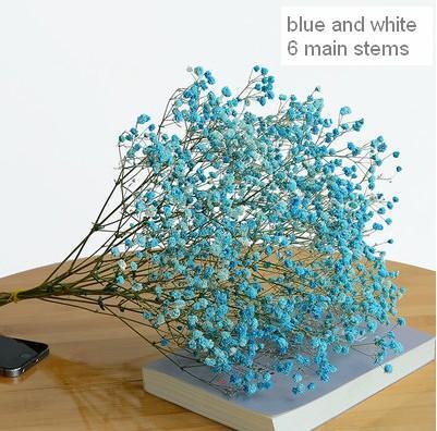 Dried Babys Breath Bunch, Dried Flowers, Gypsophila, GYP, Wedding Mason Jar Filler-Silvia Home Craft