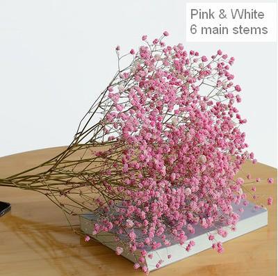 Dried Babys Breath Bunch, Dried Flowers, Gypsophila, GYP, Wedding Mason Jar Filler-Silvia Home Craft