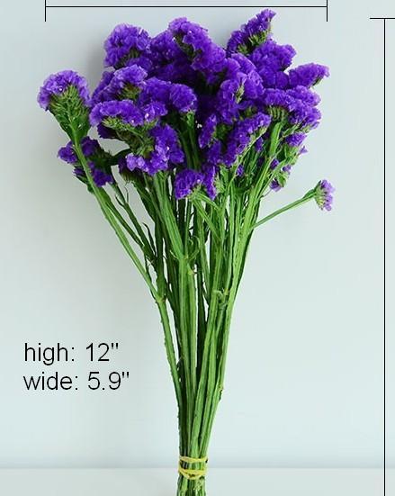Dried Statices Flower, Dried Flowers, Flower Bunches, Dried Floral-Silvia Home Craft