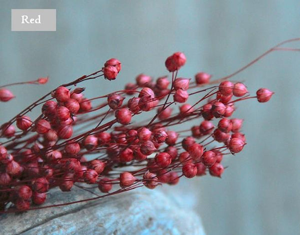 Natural Dried Flower Arrangements, A Bunch Dried Acacia Beans, Dried Floral, Bulk Flowers-Silvia Home Craft