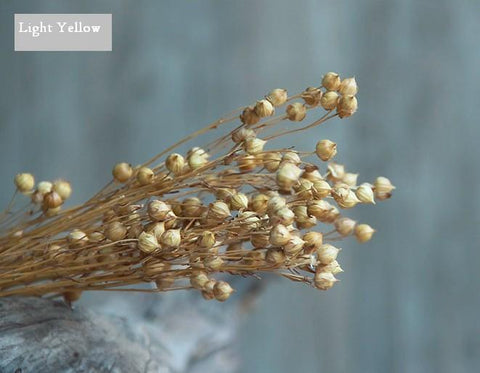 Natural Dried Flower Arrangements, A Bunch Dried Acacia Beans, Dried Floral, Bulk Flowers-Silvia Home Craft