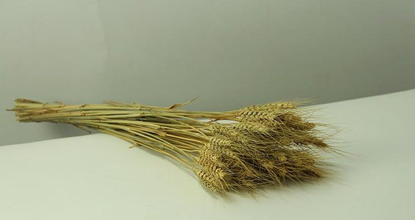 Rustic Dried Floral Arrangement, A Bunch of Dried Wheat, Dried Plant-Silvia Home Craft