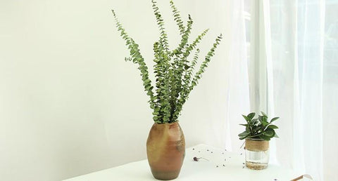 Dried Silver Dollar Eucalyptus, Dried Flowers, Dried Greenery, Eucalyptus Garland, Dried Leaves-Silvia Home Craft