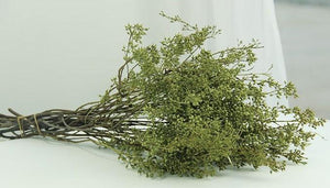 Dried Seek, Dried Flowers, Botanical Home Decor, Seed Stalks. Natural Greenery-Silvia Home Craft