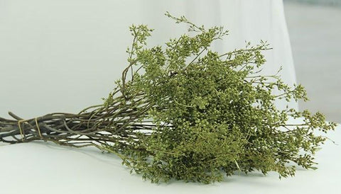 Dried Seek, Dried Flowers, Botanical Home Decor, Seed Stalks. Natural Greenery-Silvia Home Craft