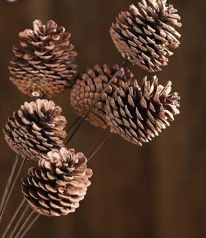 Natural Pine Cones, Pinecones, Flower Arrangement, Fall Decor, Wedding Decor, Pine Cone Crafts-Silvia Home Craft