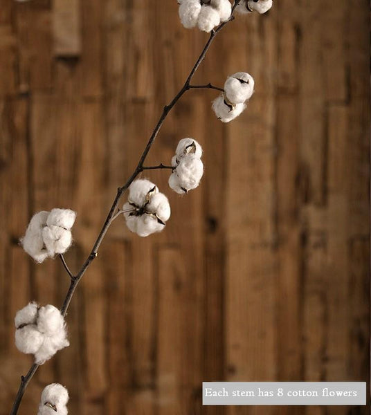 Dried Cotton Stalks, Cotton Stalks, Dried Decor, Natural Decorations, Cotton Flower-Silvia Home Craft