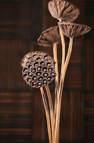 10 Stems Lotus Pods, Dried Lotus Pods, Natural Decor, Rustic Decor, Lotus Flower Arrangement-Silvia Home Craft