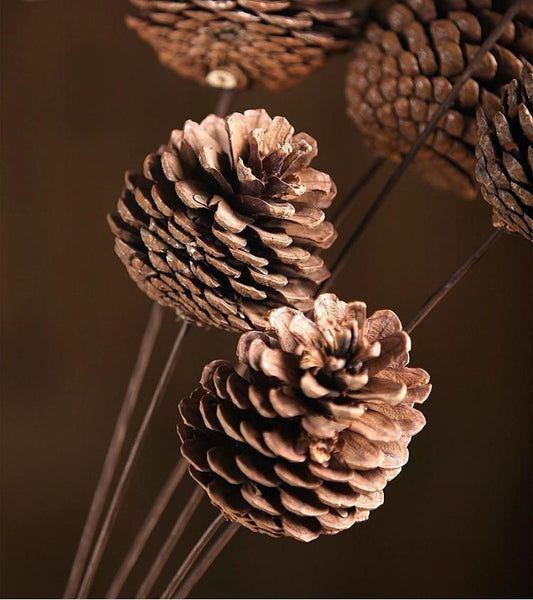 Natural Pine Cones, Pinecones, Flower Arrangement, Fall Decor, Wedding Decor, Pine Cone Crafts-Silvia Home Craft
