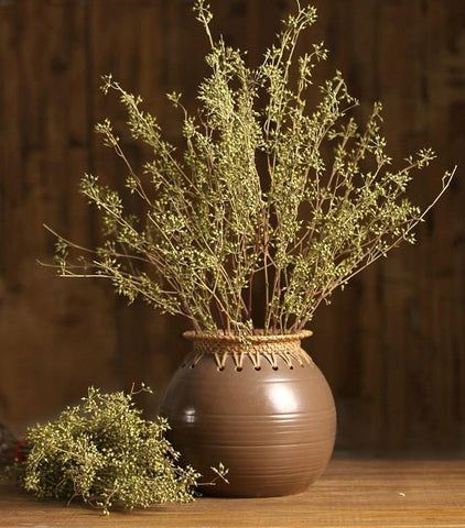 Dried Seed Pods, Seed Stalks, Natural Greenery, Dried Flowers. Floral arrangements, bouquets-Silvia Home Craft