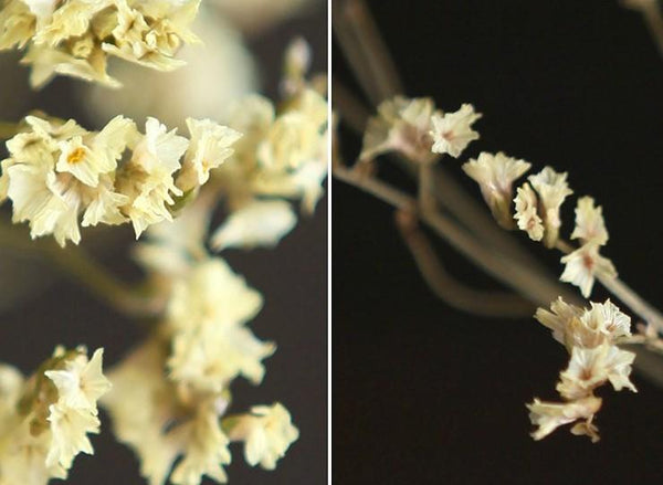 Decorative Grass, Floral arrangements, bouquets, dried crystal flowers, dried grass-Silvia Home Craft