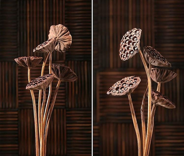 10 Stems Lotus Pods, Dried Lotus Pods, Natural Decor, Rustic Decor, Lotus Flower Arrangement-Silvia Home Craft