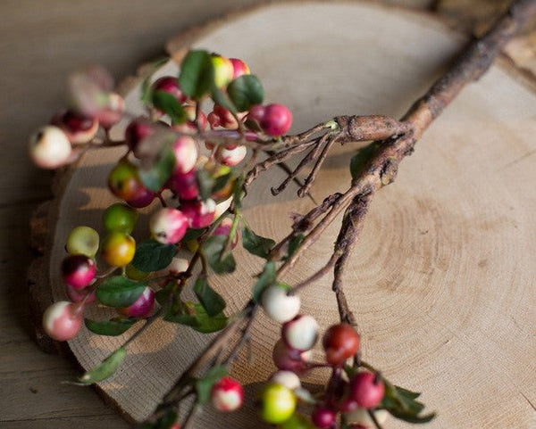 Cranberry Fruit Branch, Flower Arrangement Ideas for Living Room, Unique Artificial Flowers for Home Decoration, Spring Artificial Floral for Bedroom-Silvia Home Craft