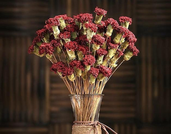Dried Carnation, Flower Arrangement, Dried Decor, Natural Decorations-Silvia Home Craft