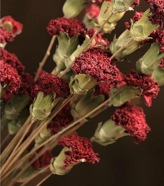 Dried Carnation, Flower Arrangement, Dried Decor, Natural Decorations-Silvia Home Craft